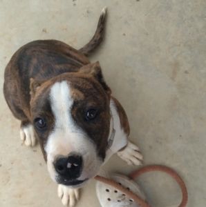 Meet your Posher, Jaylyn